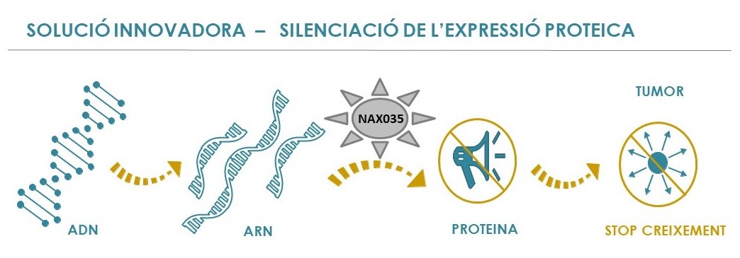 Aproximació experimental NAX035