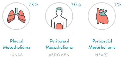 Organ distribution of Mesothelioma