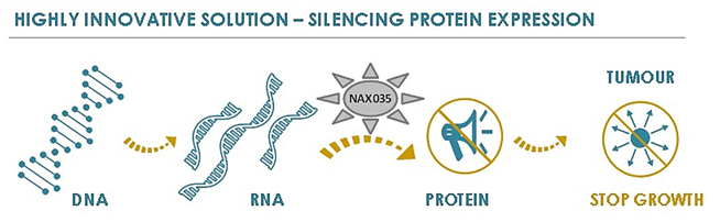 NAX035 experimental approach